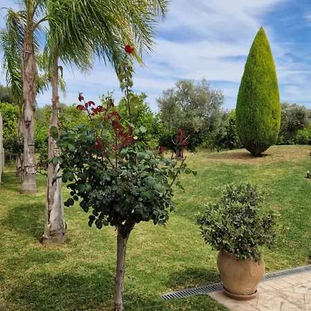 Dimitris Holiday home *
