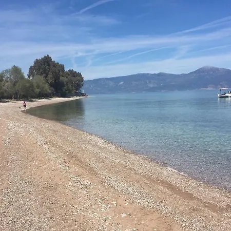 Dimitris *
